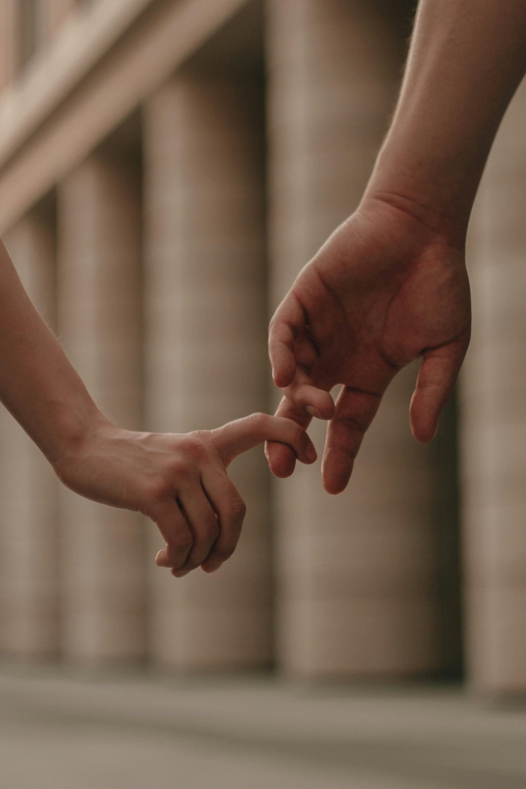 pexels ilyasick photo 133605053 10331354